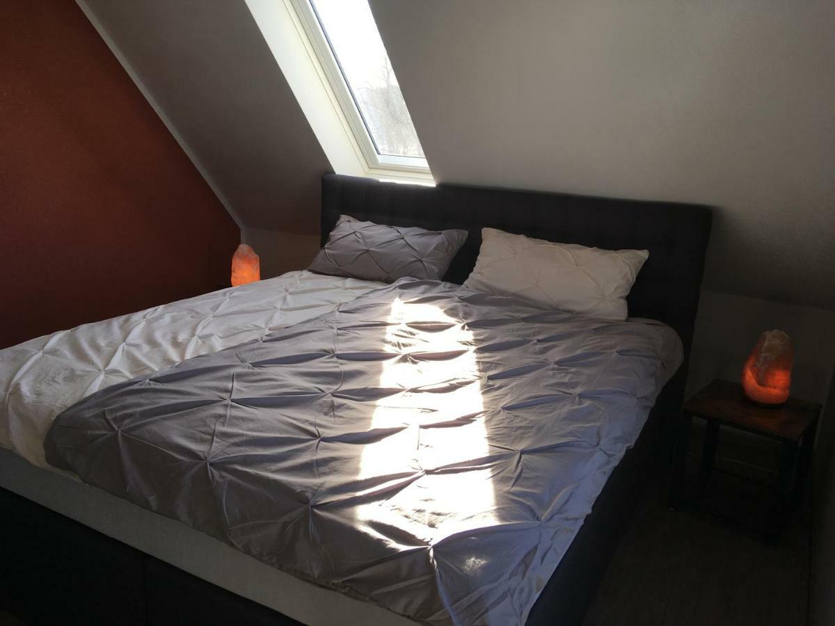 Fewo Allerblick Celle Buitenkant foto